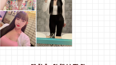다낭 에코걸 47번 통역사 입니다